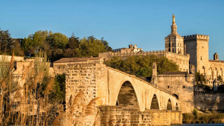 Avignon Cruise Port: Palais des Papes & Provence Guide