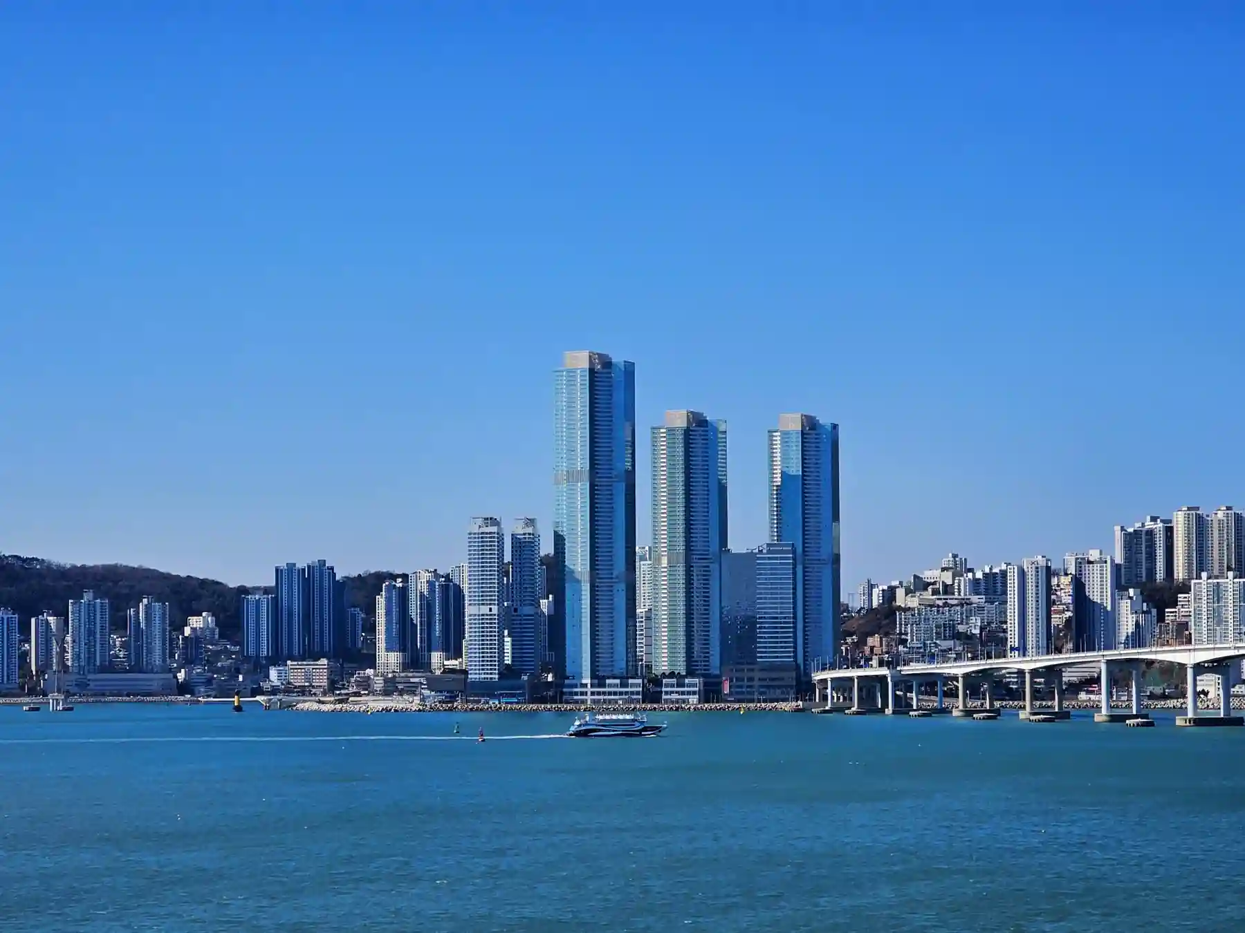 Wide view of Busan’s coastal skyline and blue harbor.