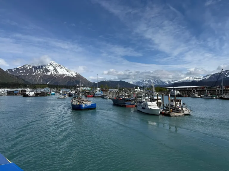 Fishing boats in Seward Boat Harbor with snow-covered mountains behind the marina.