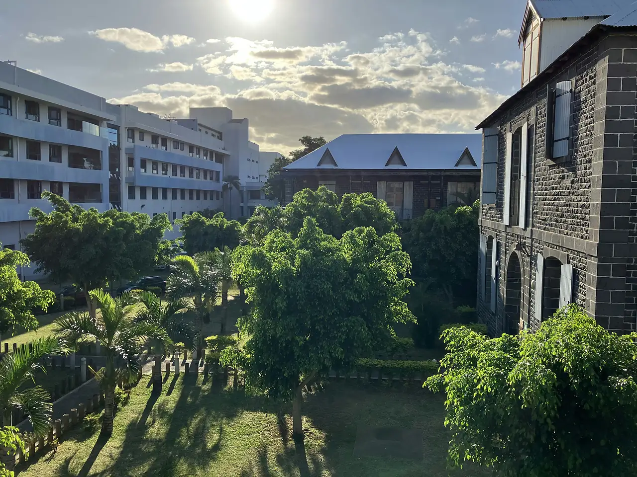 Elevated city view across buildings and trees in Port Louis, Mauritius