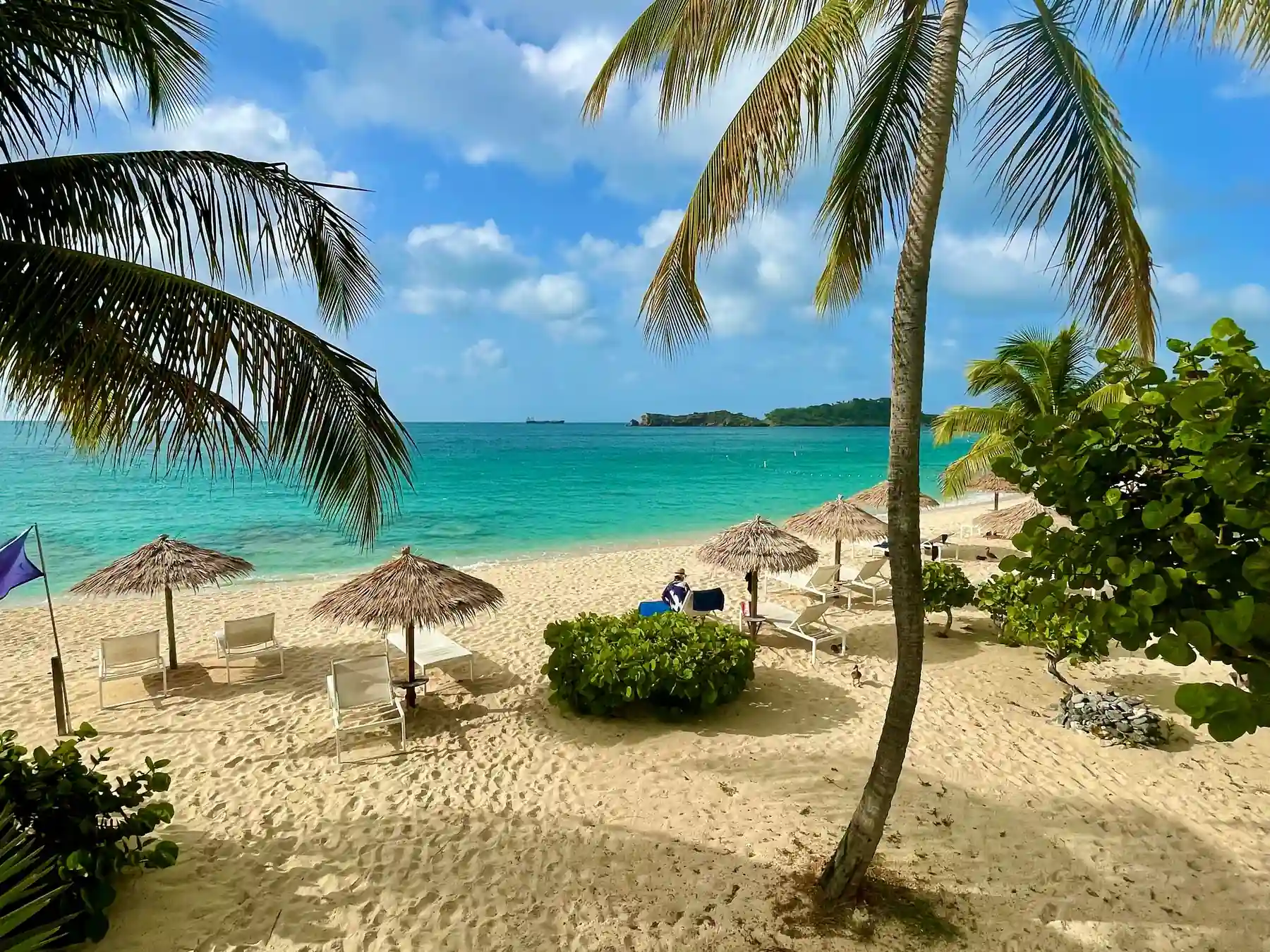 Palm trees, beach chairs, and clear Caribbean water near St. John's, Antigua.