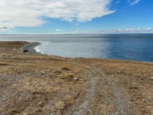 Featured image for 18 Best Hotels Near Punta Arenas Cruise Port (2026)