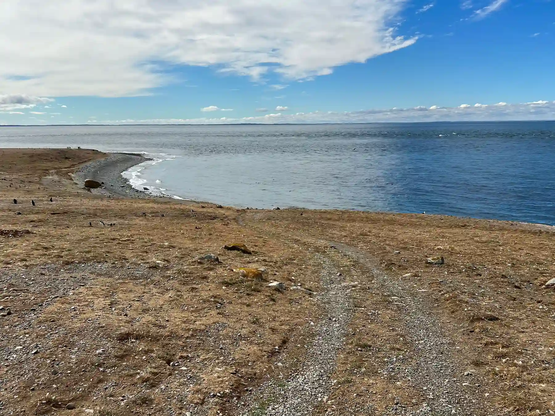Coastal path beside the Strait of Magellan in Punta Arenas, Chile.