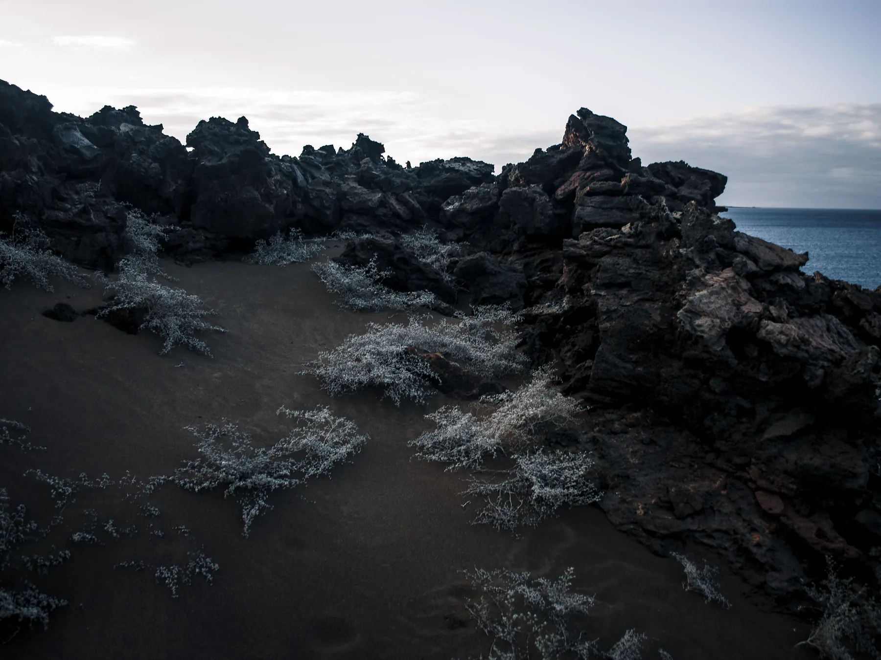Volcanic terrain and ocean along the Galápagos Islands coastline.