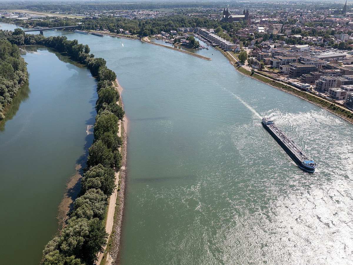 Blaues-Band-Deutschland-Projekt "Monsterloch" Rhein (55106138981), Speyer