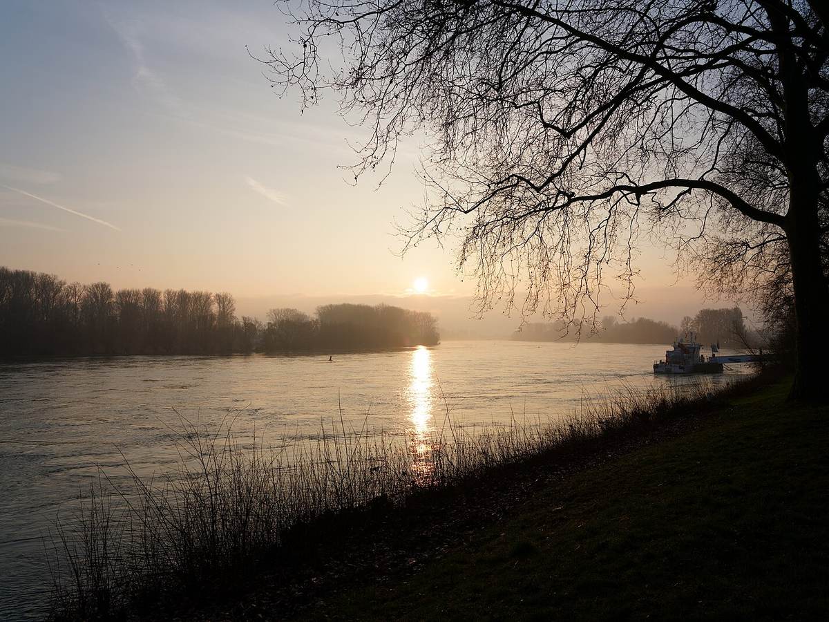 Morgens am Rhein - Flickr - Lutz Blohm, Speyer