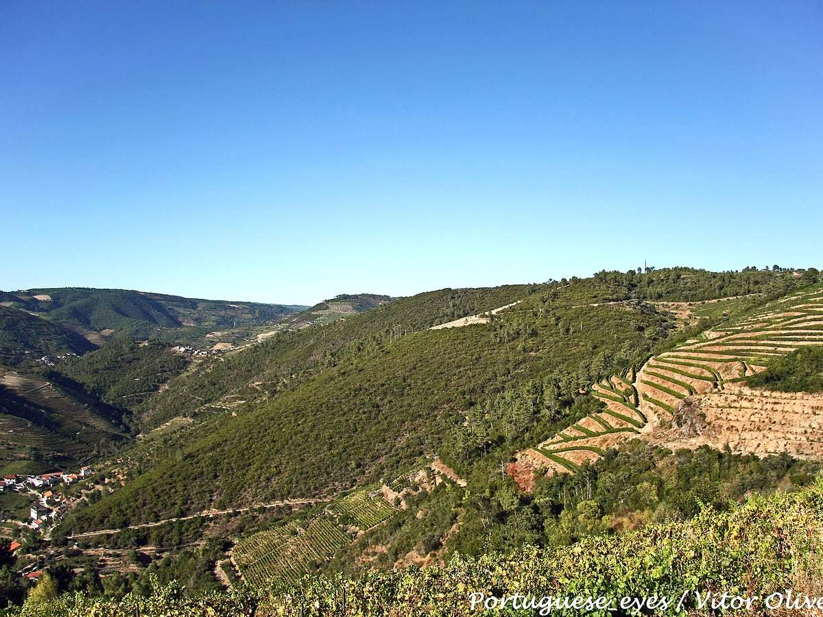 Arredores de Escavedas - Portugal (8496557970), Regua