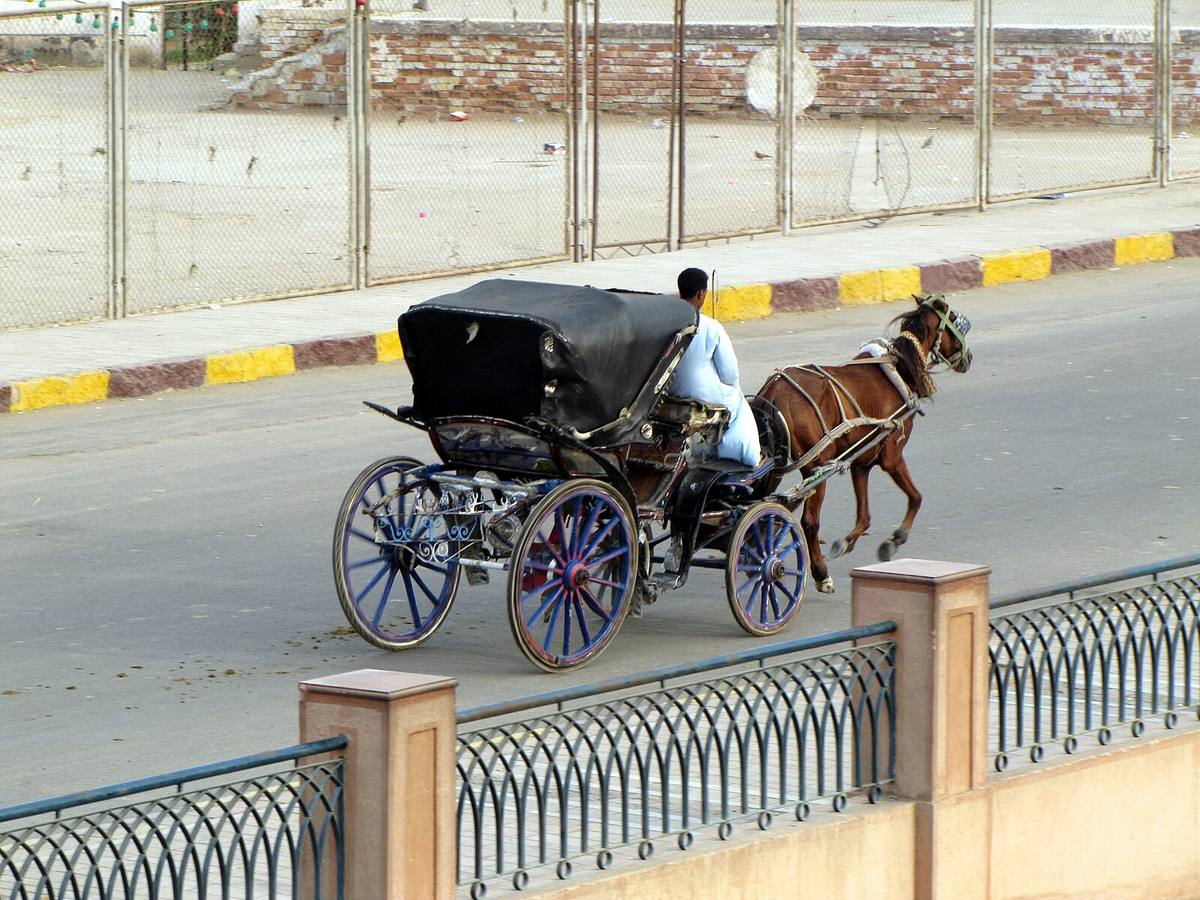 Edfu - on a Nile River Cruise - 2009 (4058039327), Edfu