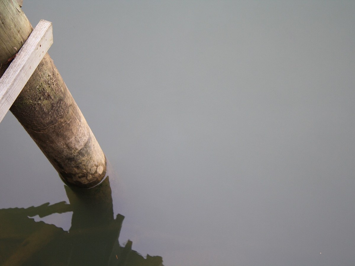 Boardwalk Post Sticks into Tennessee River at Ijams Nature Center, Tennessee Cumberland
