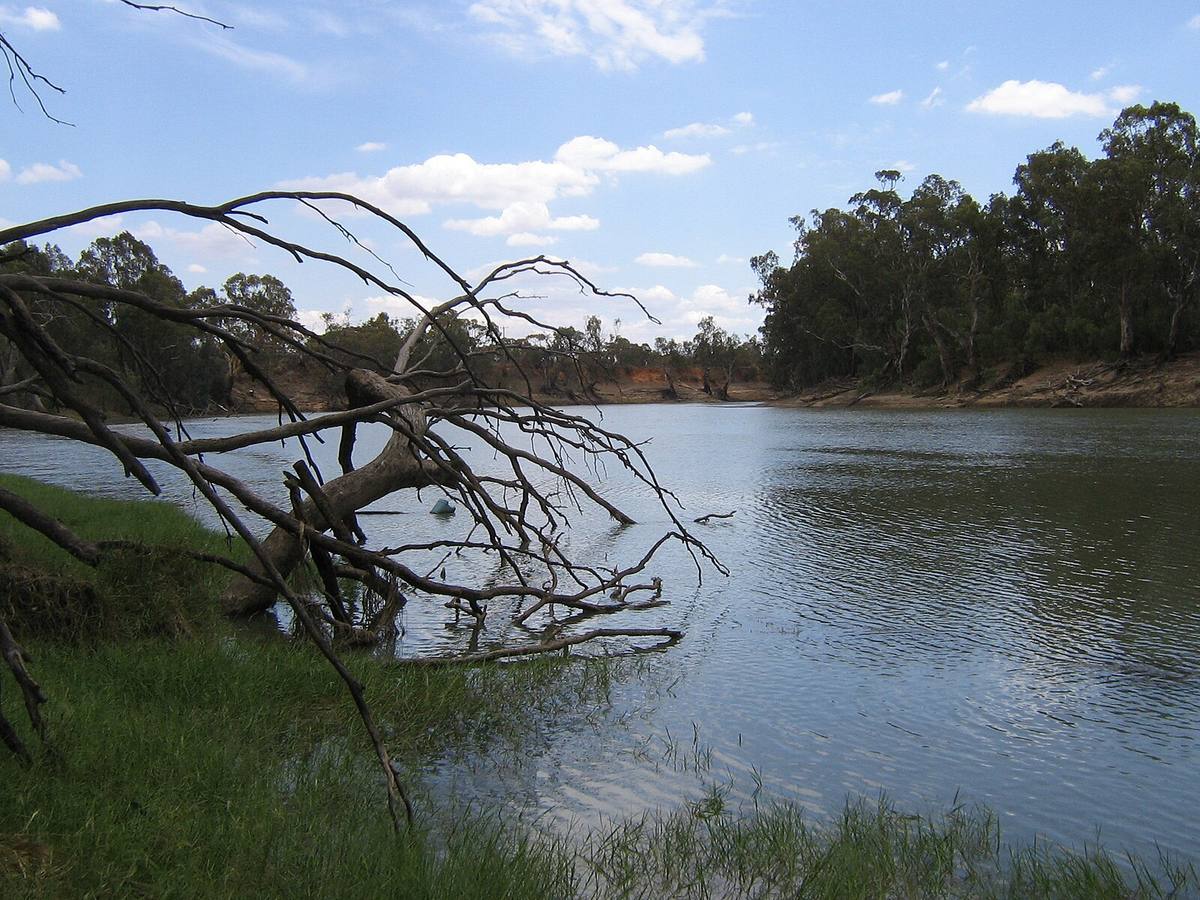 Murray River at Boundary Bend, Murray