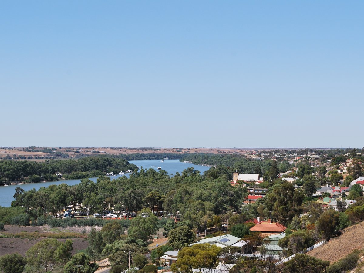 Mannum township and the River Murray viewed from the lookout