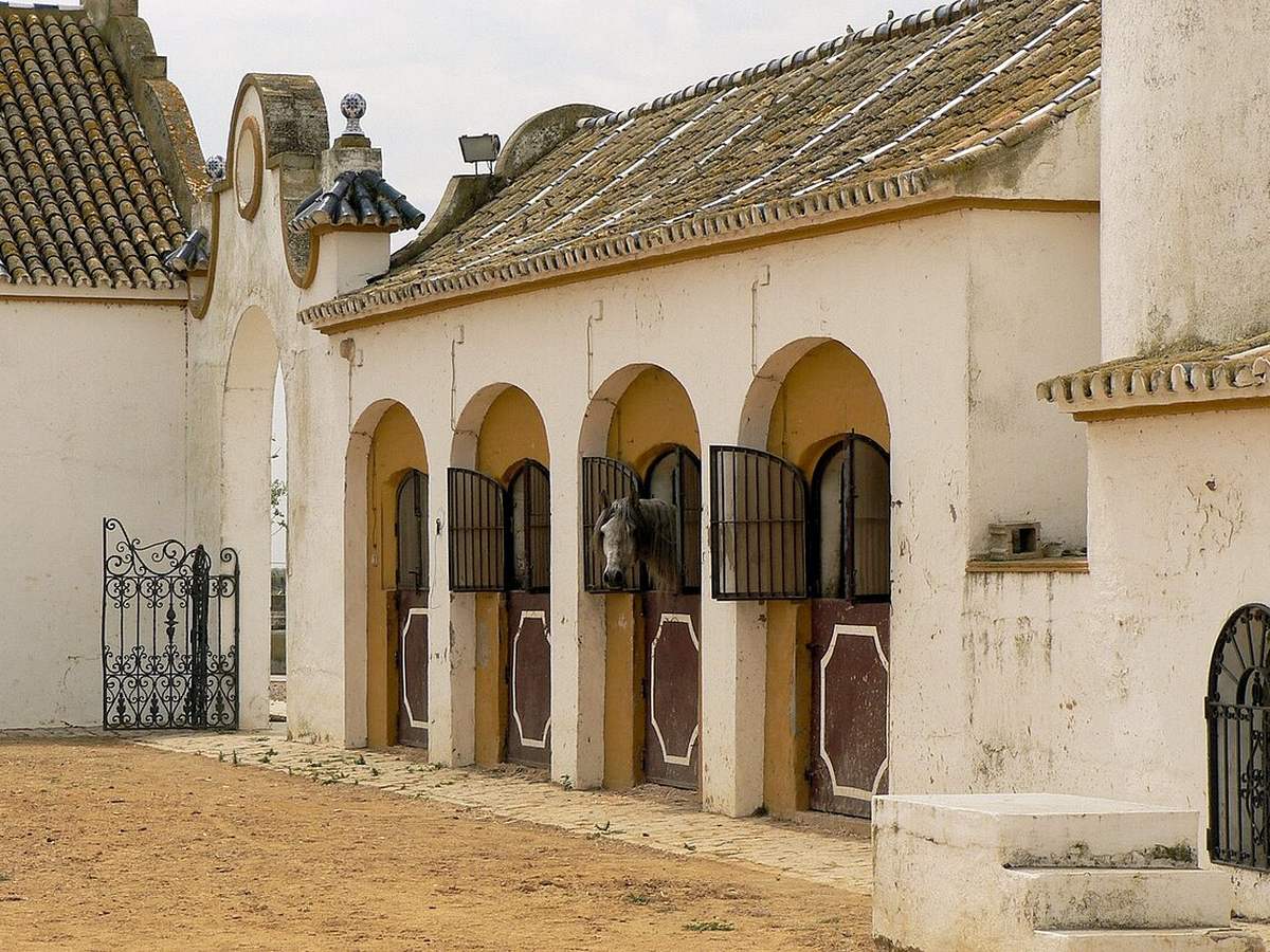 Horse stables at the Isla Mínima hacienda in Andalusia