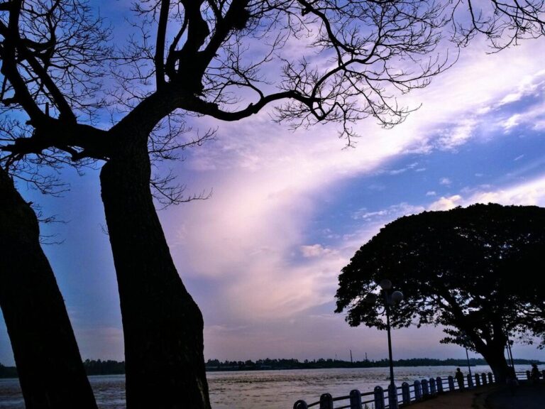 Vietnamese riverside scenery on a river cruise itinerary
