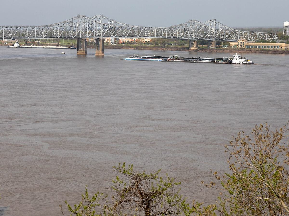 Mississippi River at Natchez MS, March 2025 in Natchez