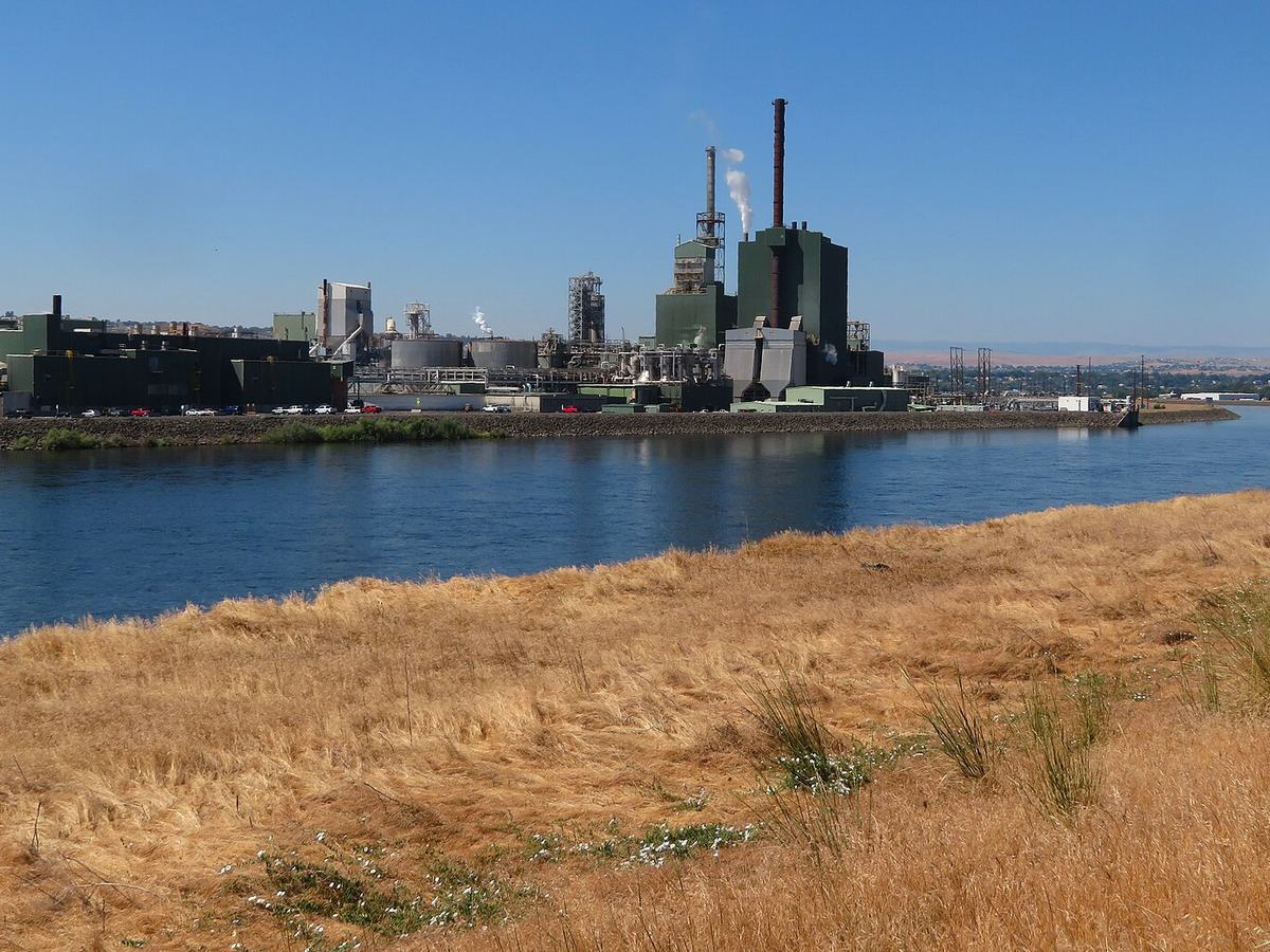 Clearwater Paper Mill, Clearwater River, Lewiston, Idaho (51289190864), Lewiston Clarkston