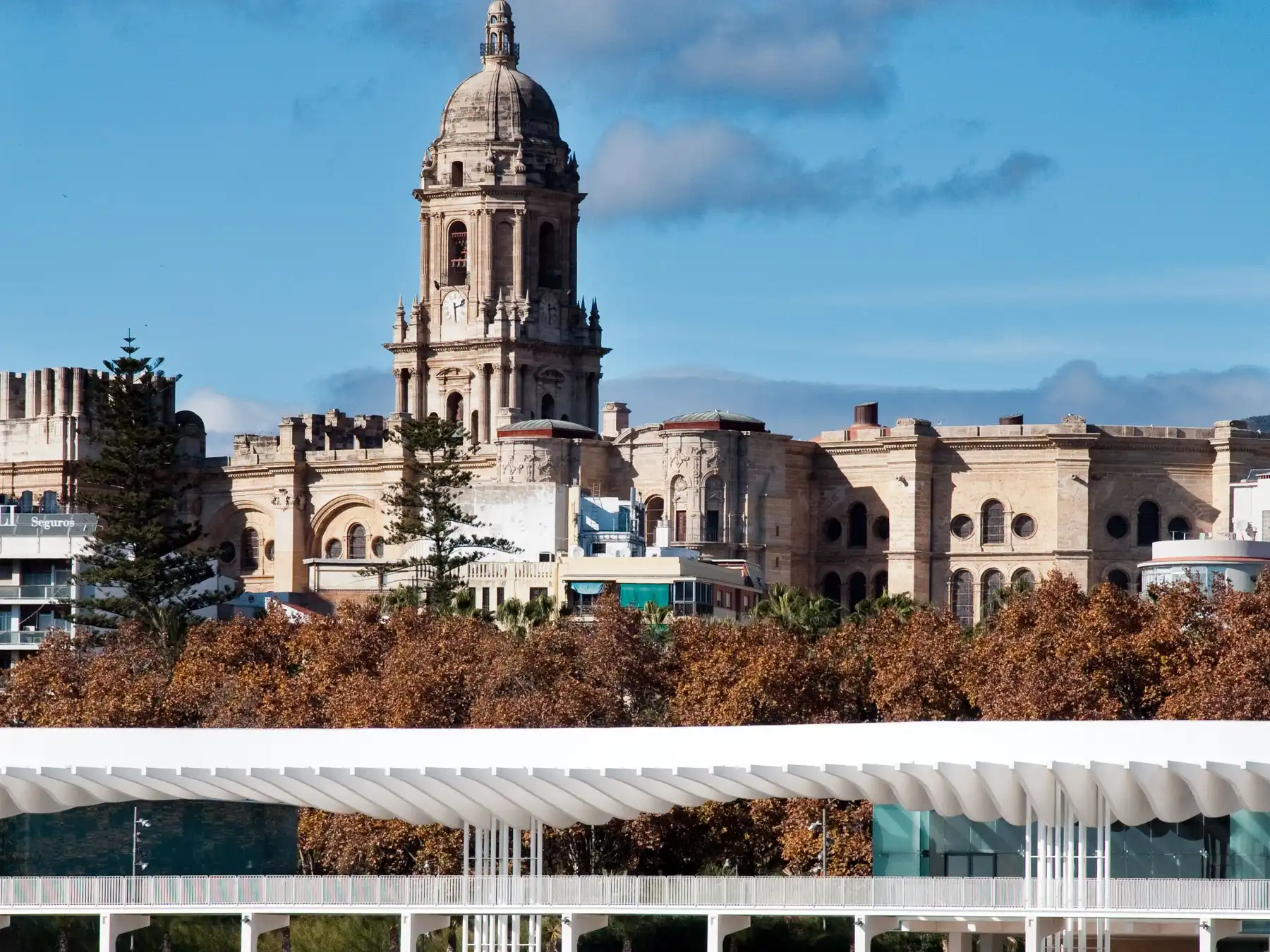 Málaga Cathedral rising above the modern waterfront promenade beside the port.