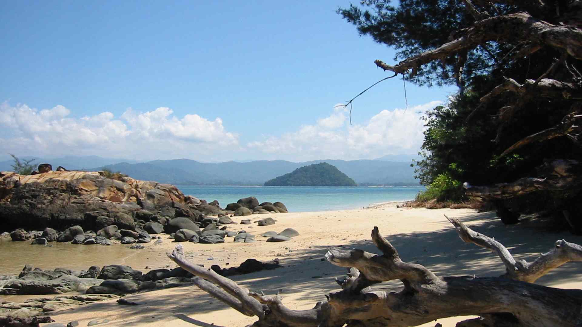 Driftwood scattered across a remote tropical beach