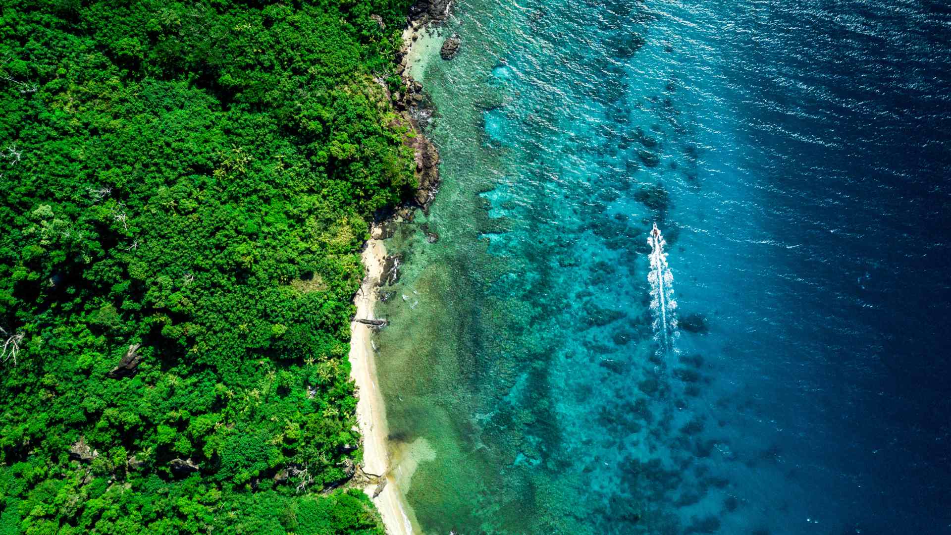 Narrow tropical beach between rainforest and turquoise sea