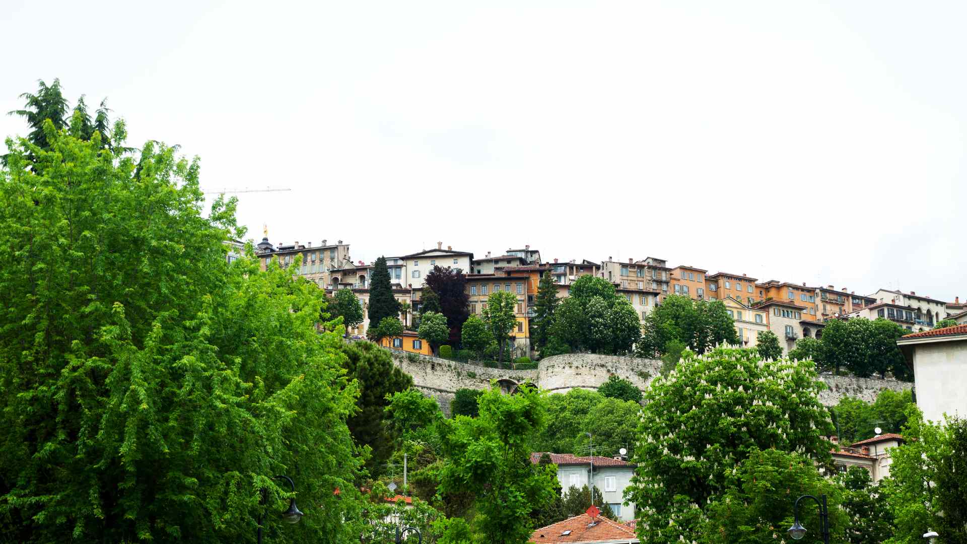 Green hillside neighborhood below Bergamo's old town