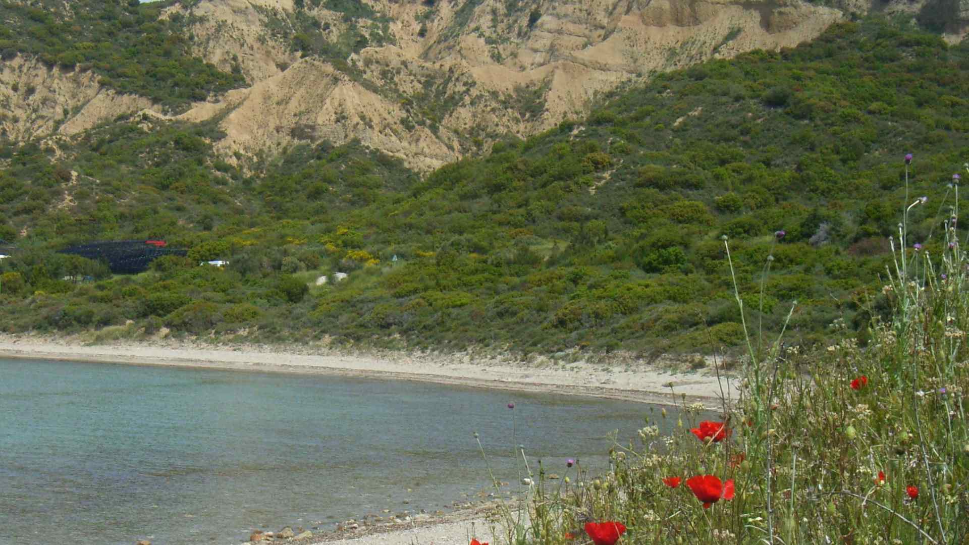 Quiet beach and green hills at Anzac Cove, Gallipoli