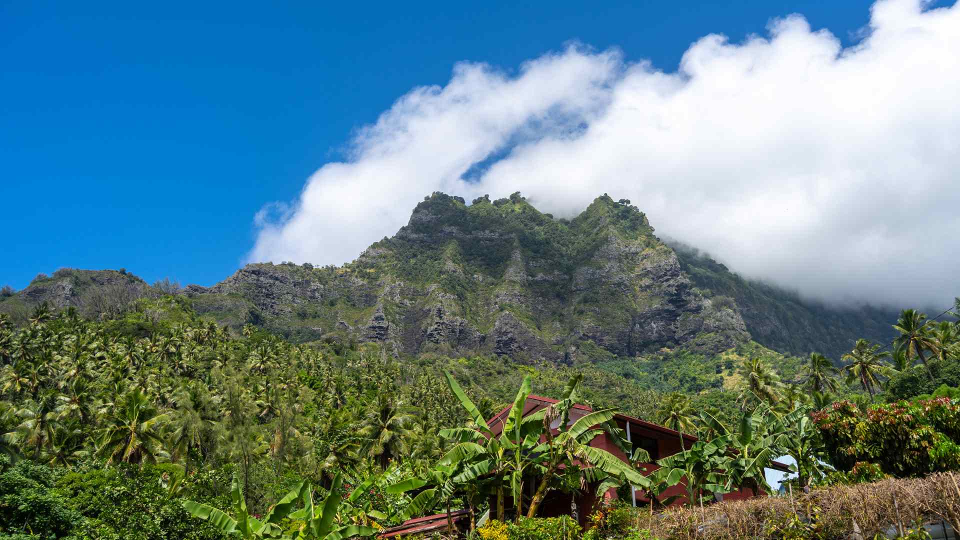 Lush volcanic peaks rising above Atuona on Hiva Oa