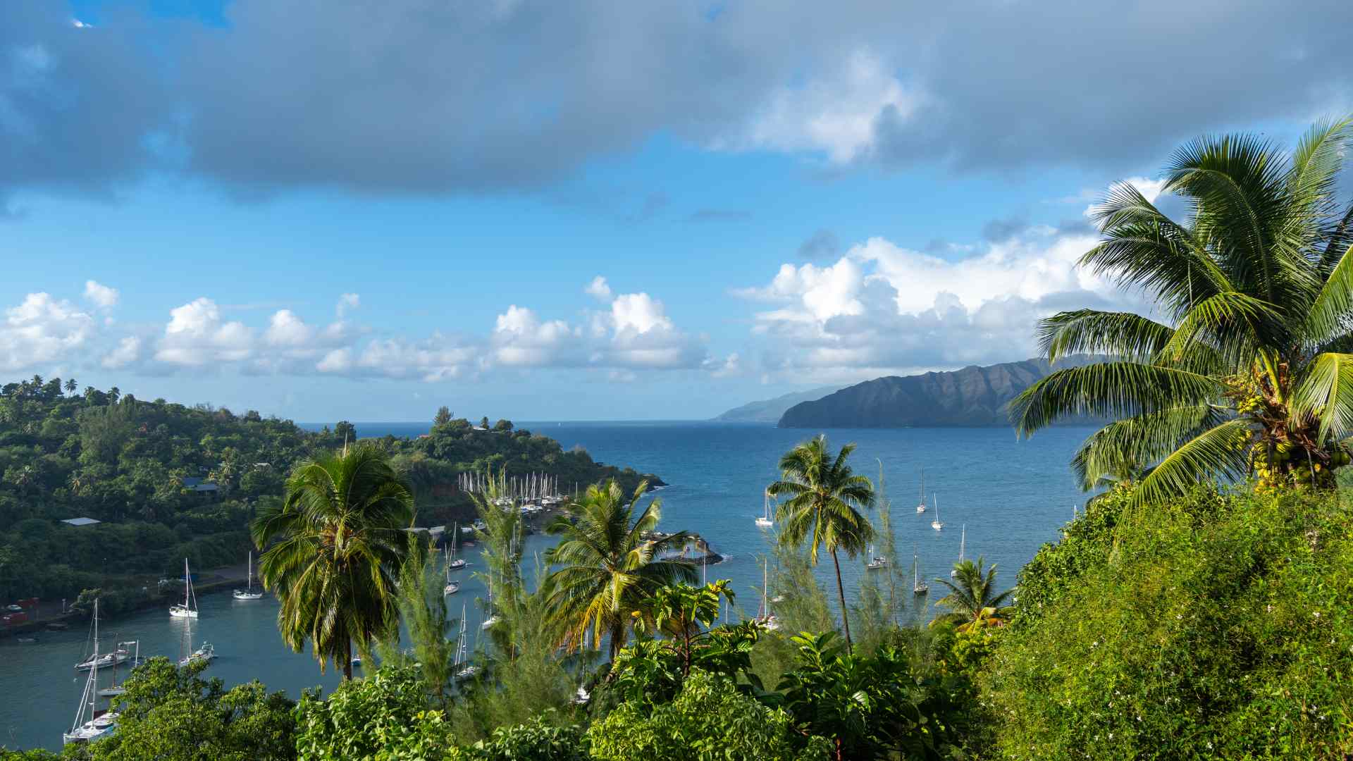 Palm-fringed bay and green hills near Atuona