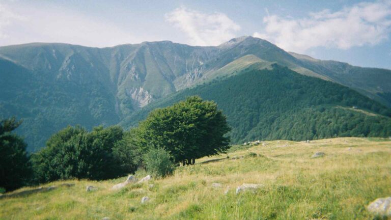 Green mountain landscape in Asturias near Aviles