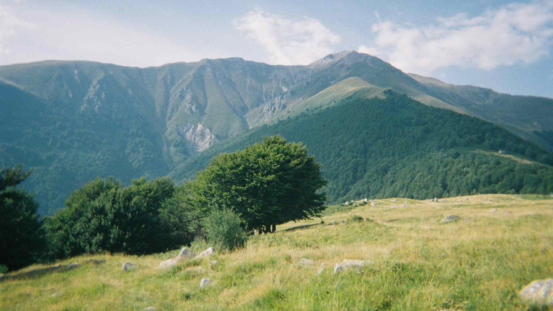 Green mountain landscape in Asturias near Aviles