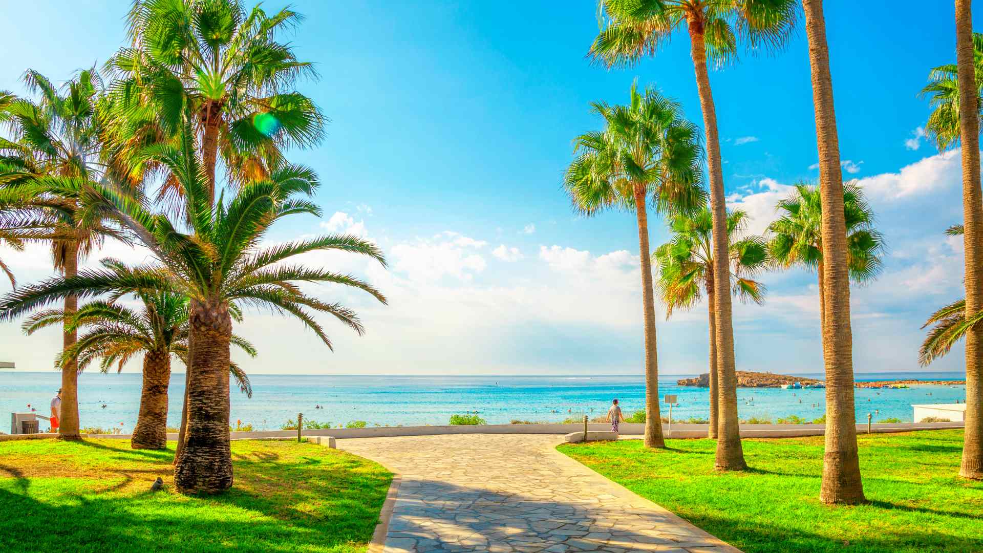 Palm-lined beach promenade at Ayia Napa