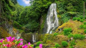 Featured image for Azores Cruise Port: A Cruiser’s Guide to Ponta Delgada