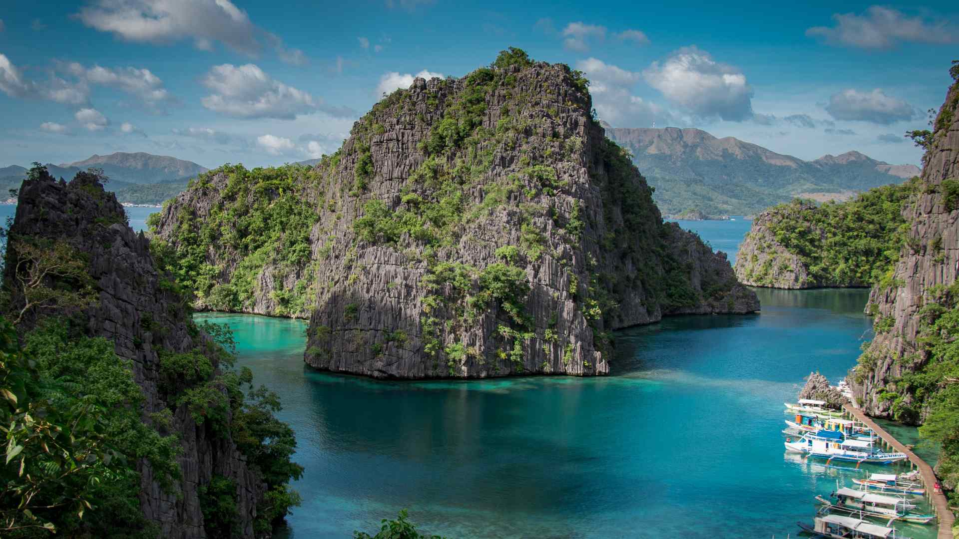Cruise ship sailing through a forested limestone lagoon