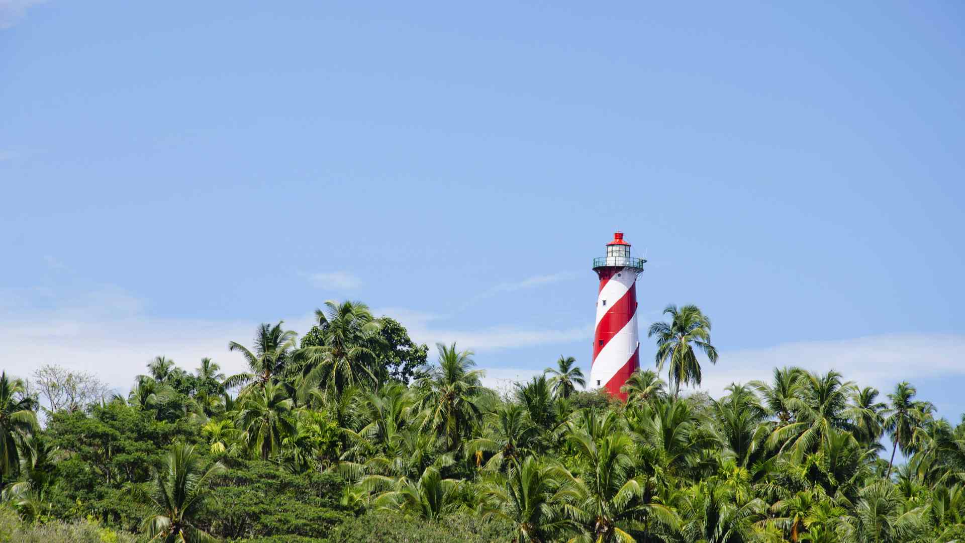 Red-and-white lighthouse rising above tropical palm trees