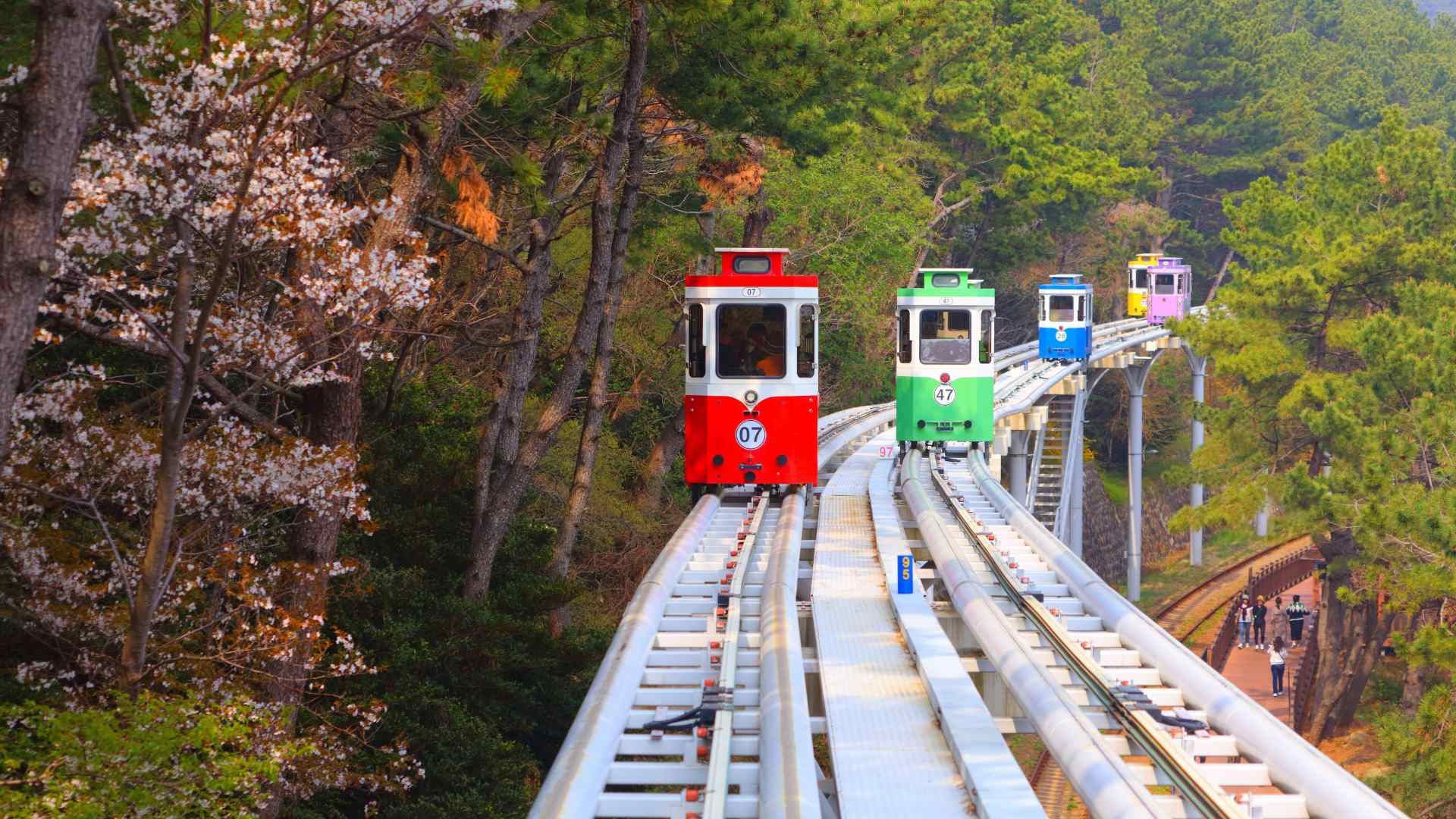 Haeundae Beach train traveling through coastal forest in Busan