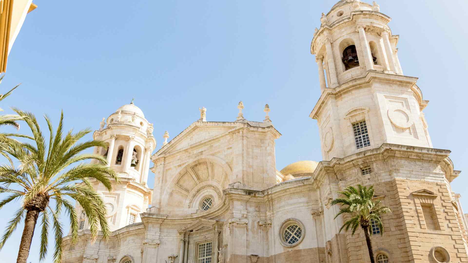 Cadiz Cathedral dome framed by palm trees