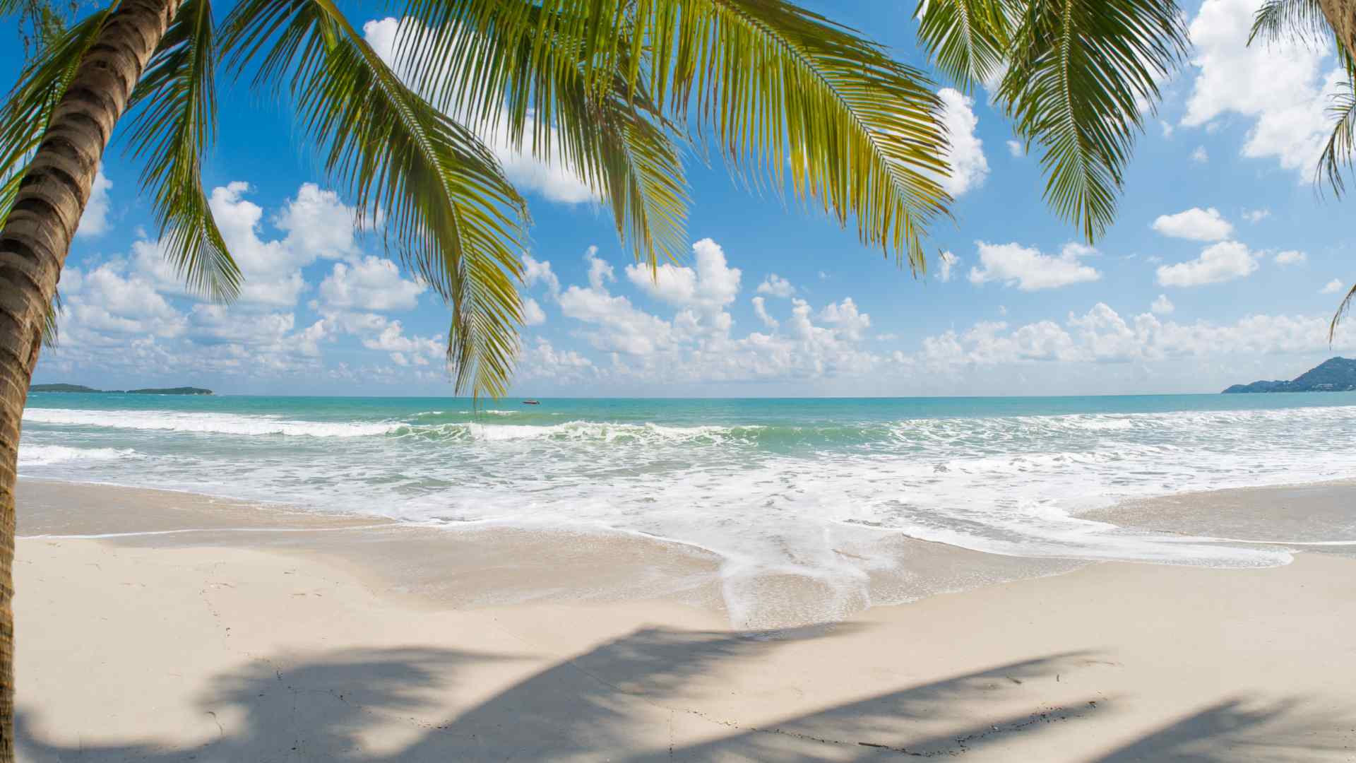 Palm-fringed white sand beach at Celebration Key, Grand Bahama