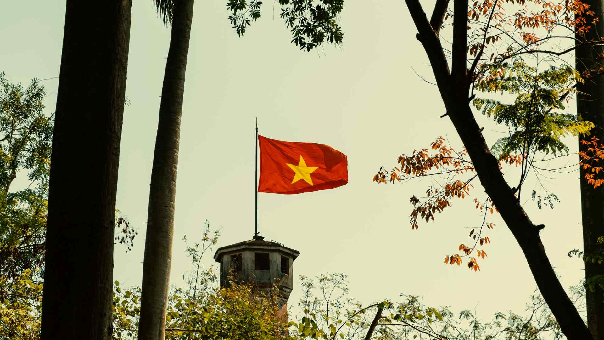 Vietnamese national flag in a tree-lined urban park