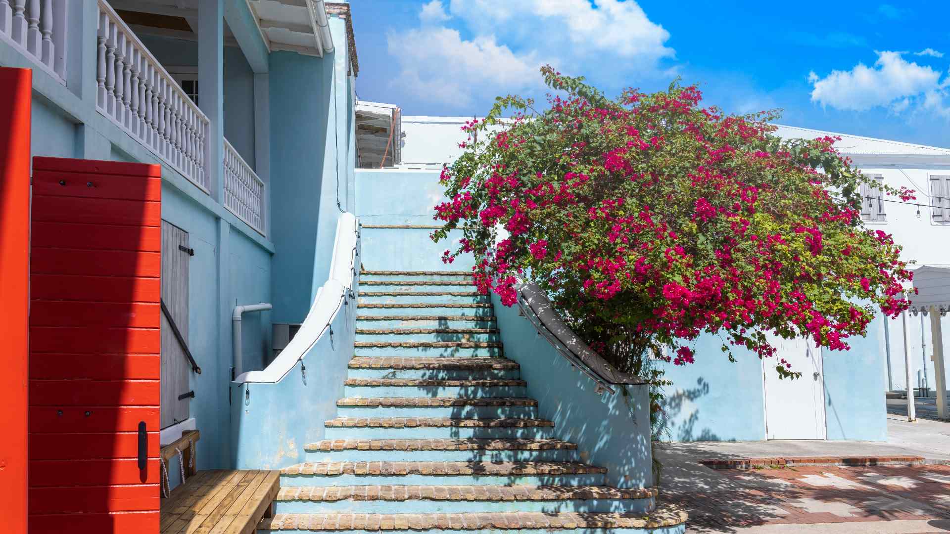 Bougainvillea-covered steps beside colorful Frederiksted buildings