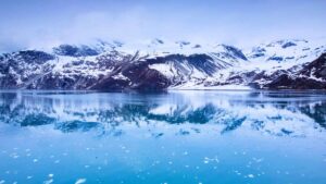 Featured image for Glacier Bay Scenic Cruising: An Alaska Day at Sea