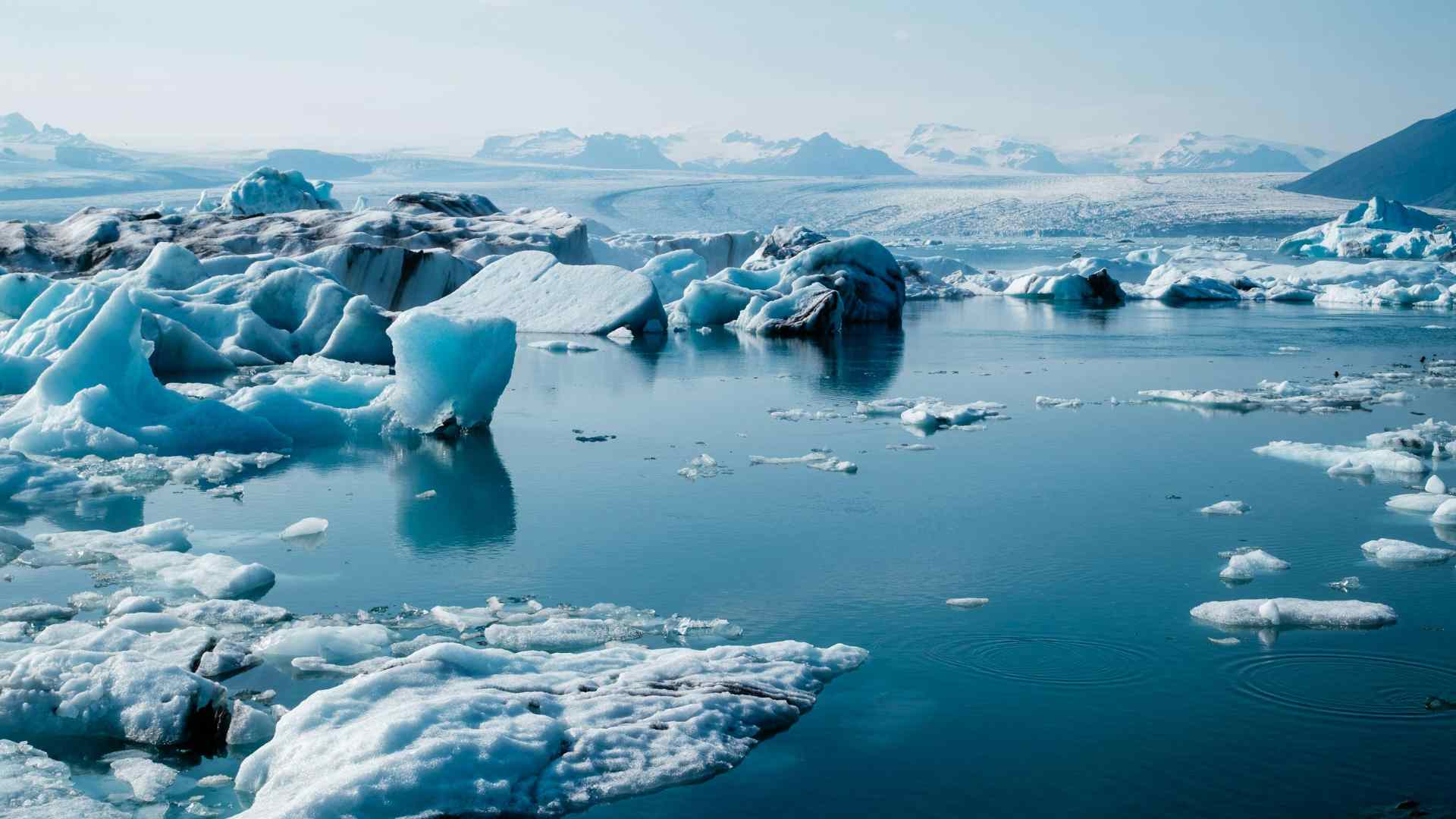 Floating blue ice across an Alaskan glacial lagoon