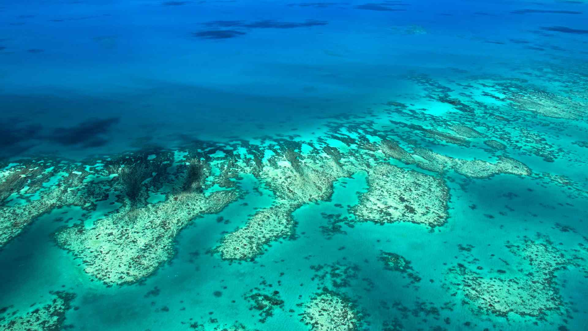 Aerial view of coral reefs in turquoise Bahamian water
