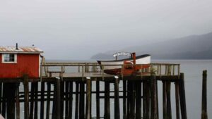 Featured image for Icy Strait Point Cruise Port Guide: Hoonah, Whales and ZipRider