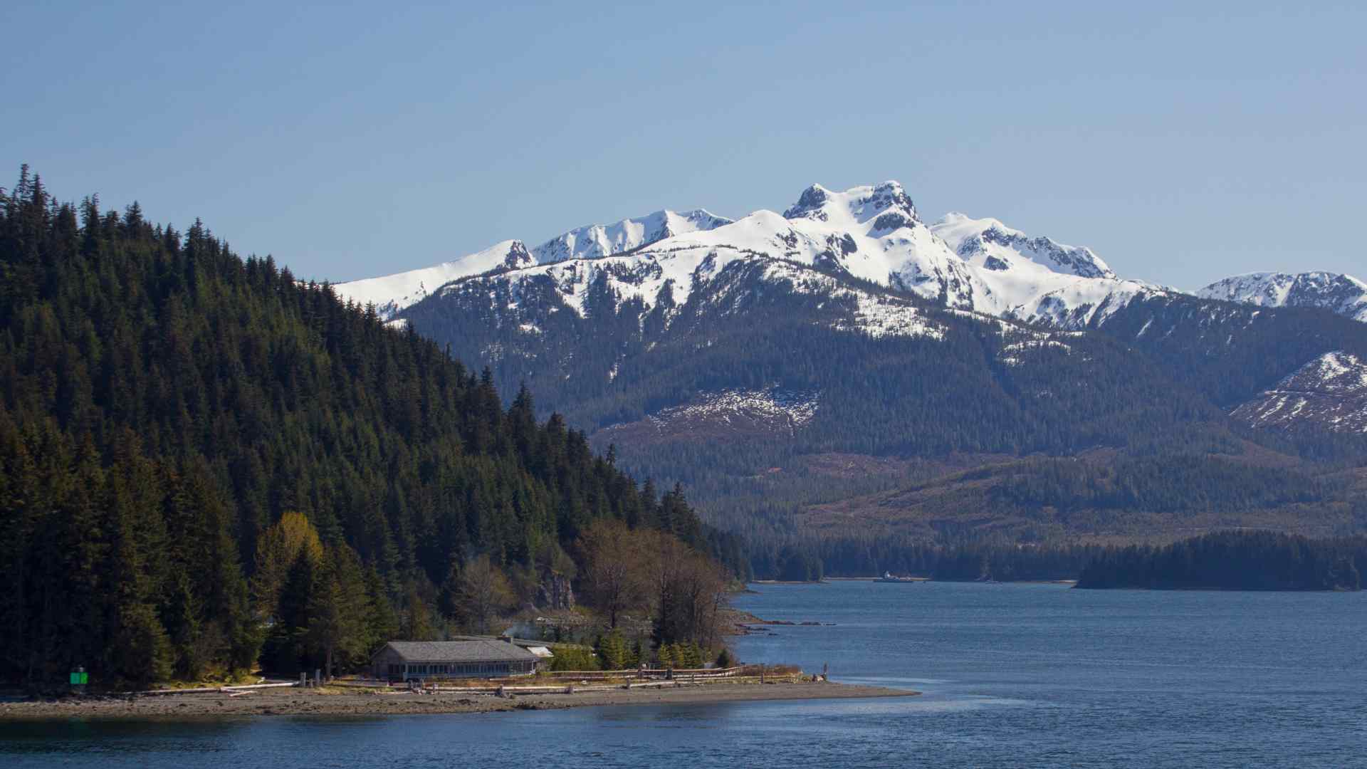 Snow-covered mountain above the forested Alaskan shoreline