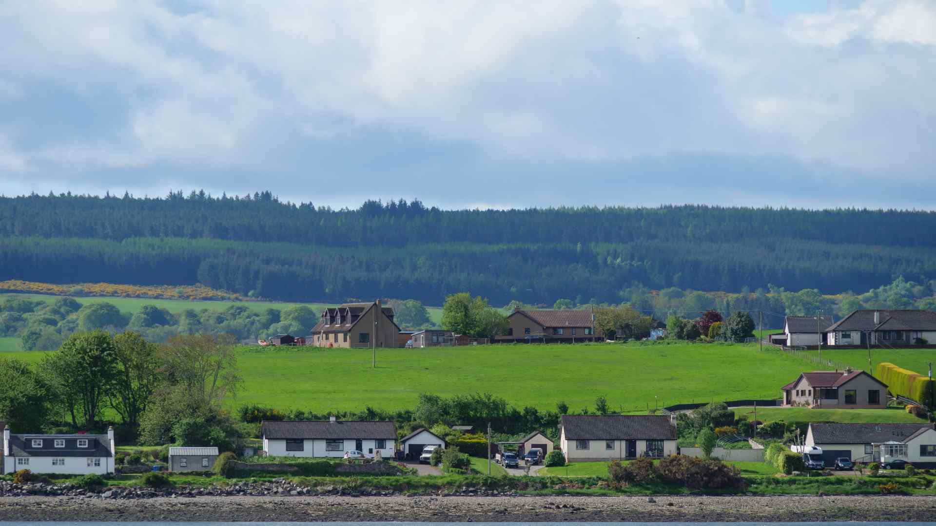 Green Scottish farmland near Invergordon and Cromarty Firth