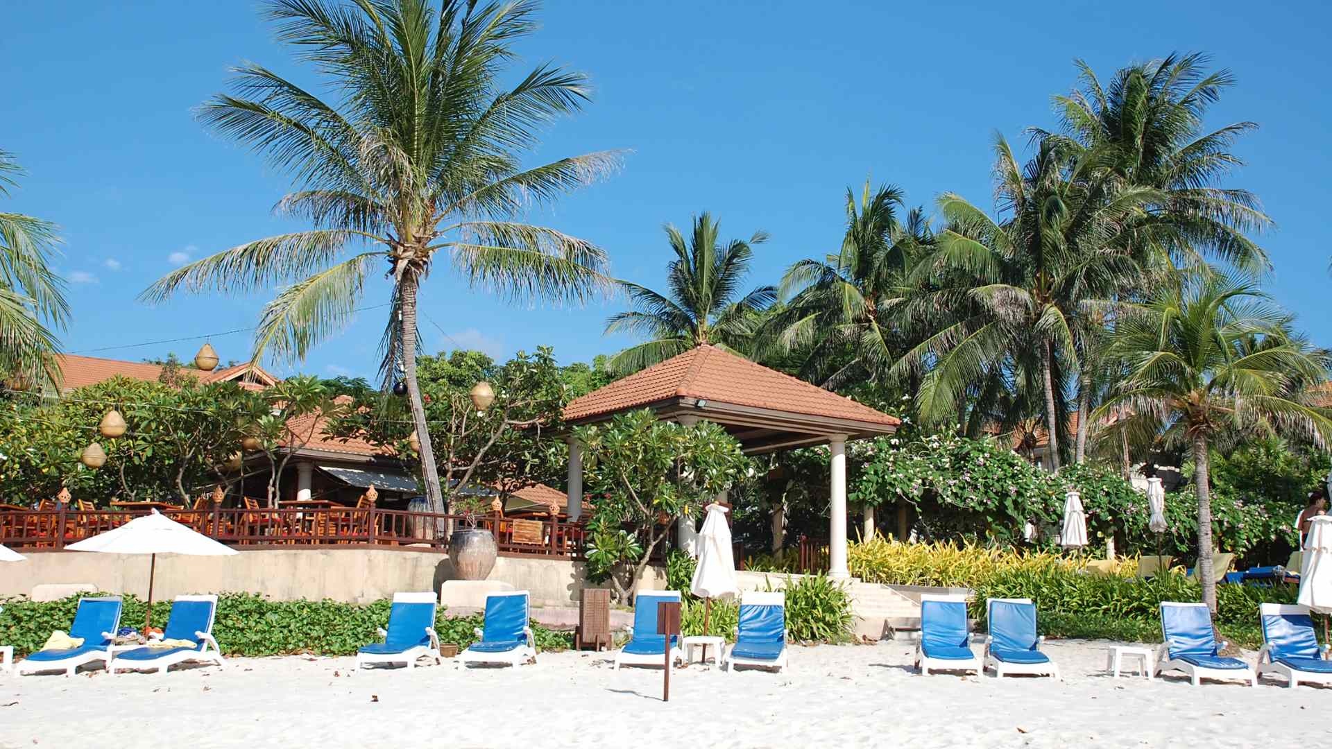 Palm-lined beach resort on Ko Samui, Thailand