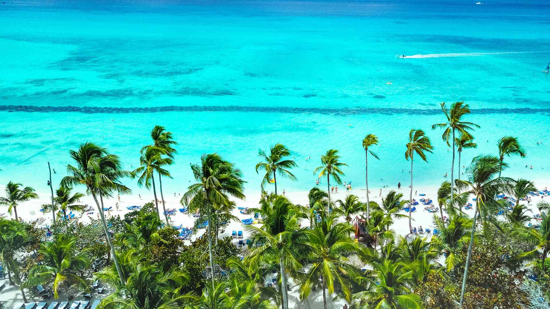 Caribbean beach and palm trees near La Romana, Dominican Republic