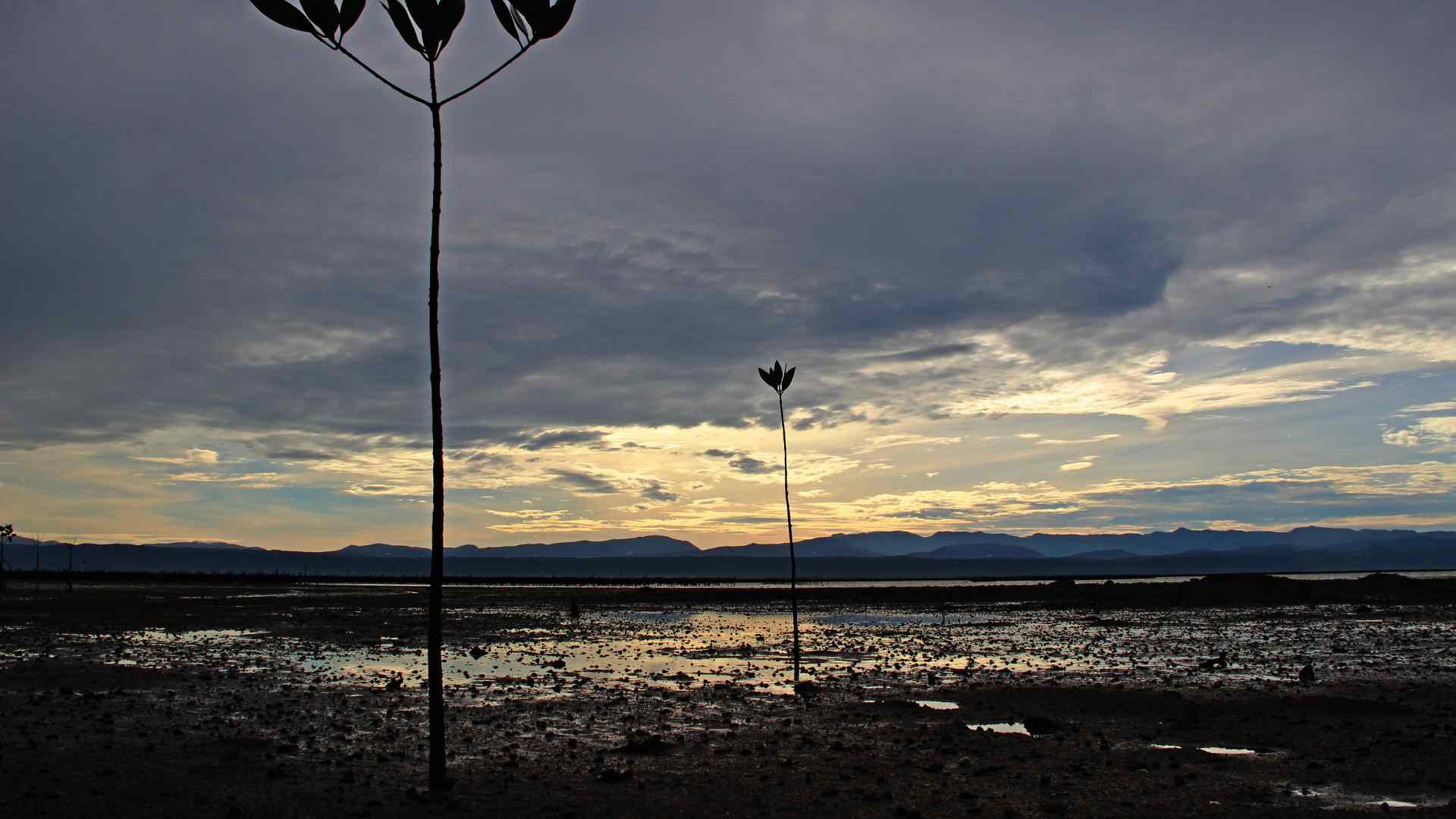 Sunset over a quiet tropical beach and tidal flats