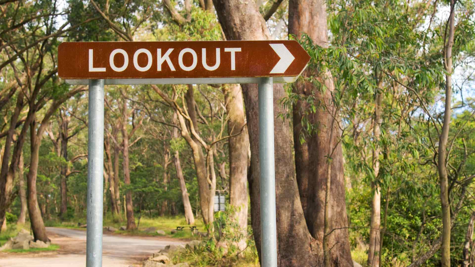 Woodland sign pointing toward a lookout trail