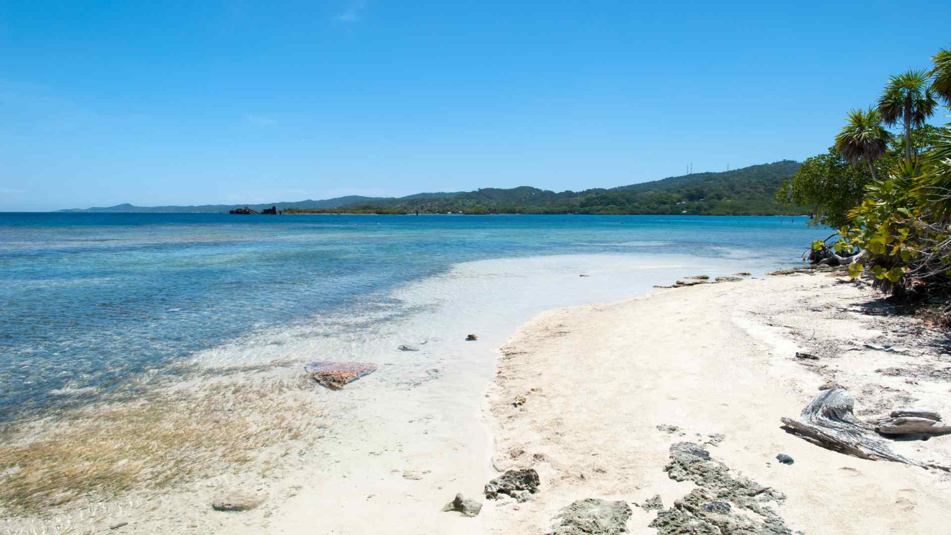 Quiet white sand beach and clear water in Roatan