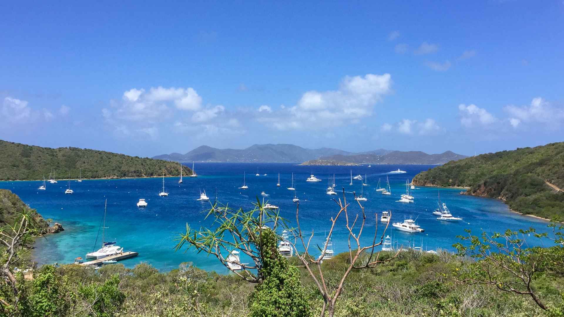Beautiful ocean bay surrounded by green land with dozens of sail boats.
