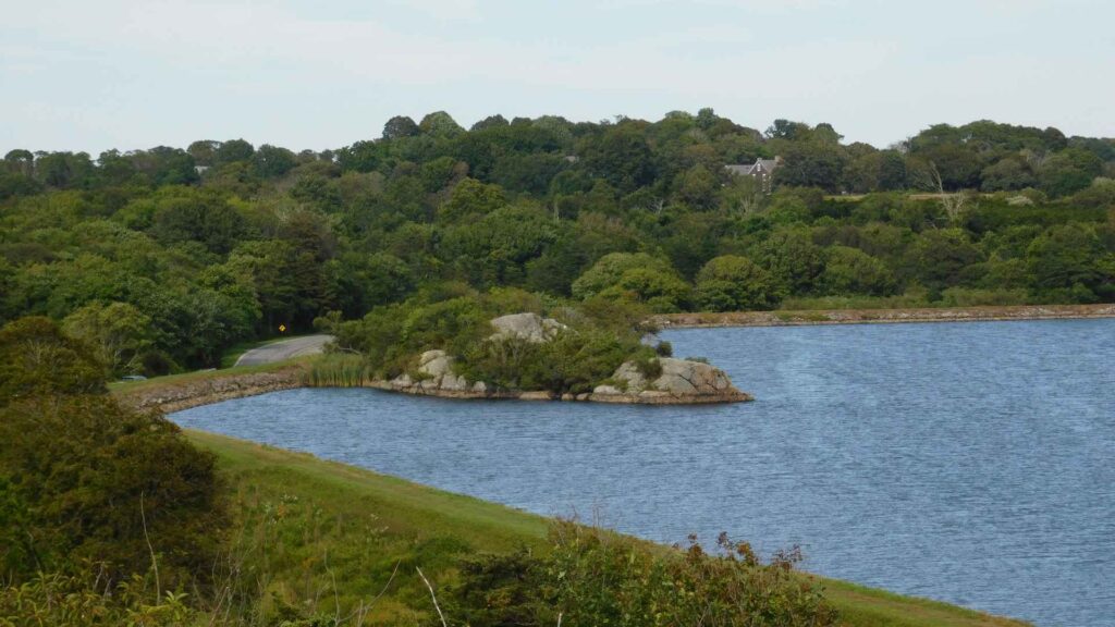 Green land with bushy trees next to the ocean
